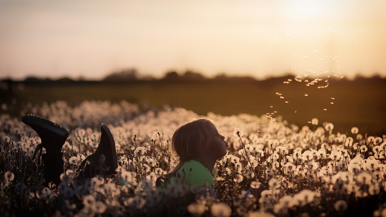 flower, child, girl-2562079.jpg